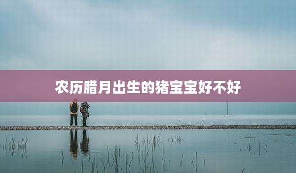 农历腊月出生的猪宝宝好不好