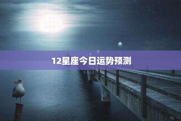 12星座今日运势预测