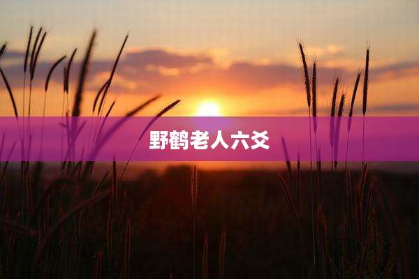野鹤老人六爻