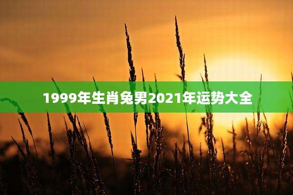 1999年生肖兔男2021年运势大全