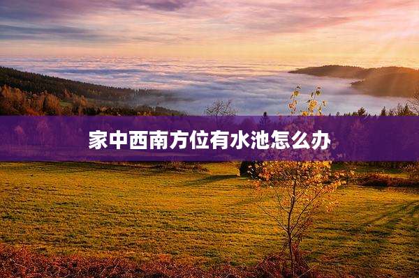 家中西南方位有水池怎么办