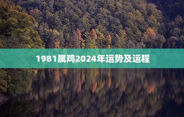 1981属鸡2024年运势及运程
