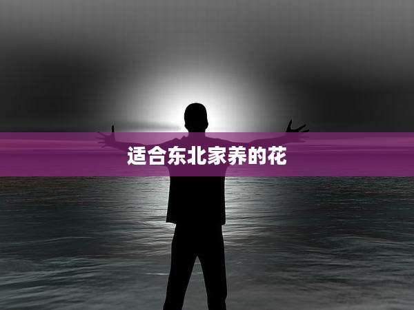 适合东北家养的花