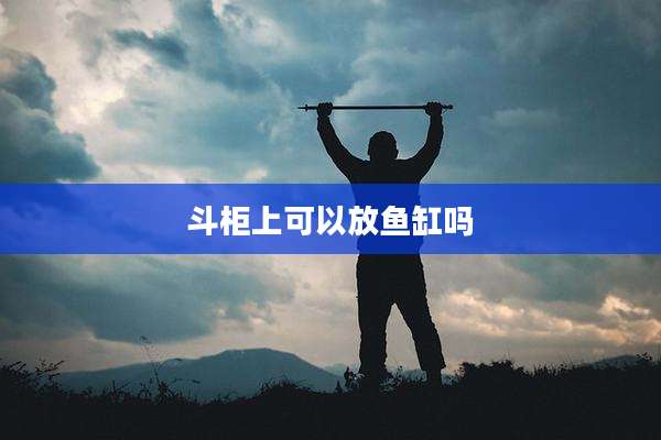 斗柜上可以放鱼缸吗