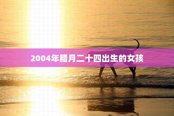 2004年腊月二十四出生的女孩