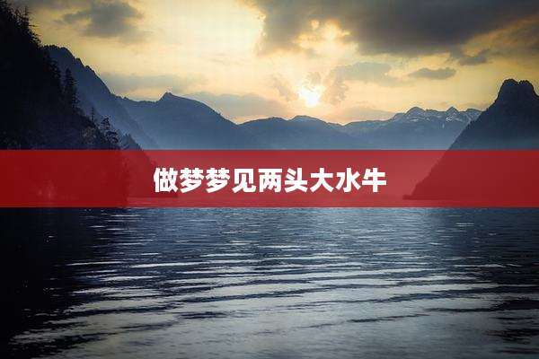 做梦梦见两头大水牛