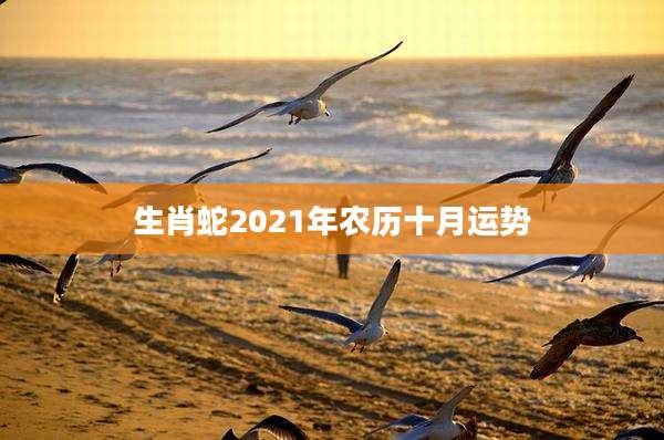 生肖蛇2021年农历十月运势