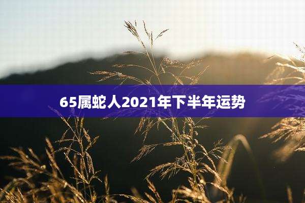 65属蛇人2021年下半年运势