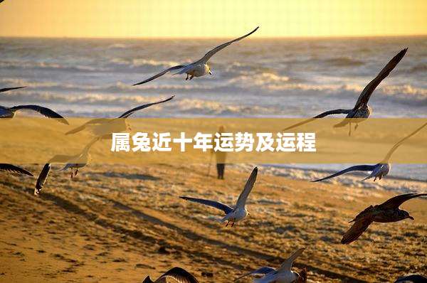 属兔近十年运势及运程