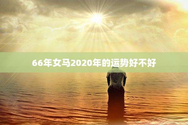 66年女马2020年的运势好不好