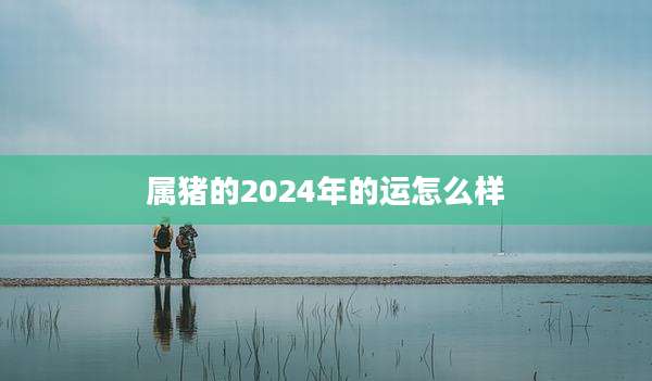 属猪的2024年的运怎么样