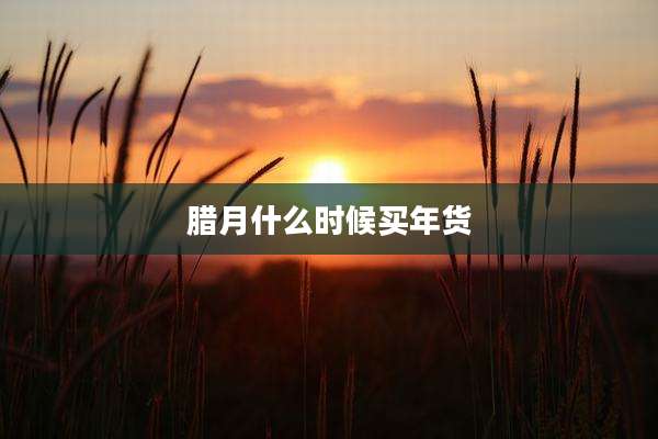 腊月什么时候买年货