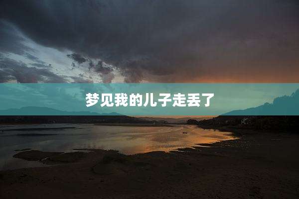 梦见我的儿子走丢了