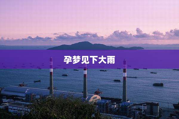 孕梦见下大雨
