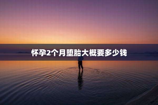 怀孕2个月堕胎大概要多少钱