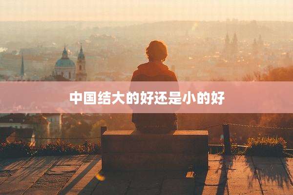 中国结大的好还是小的好