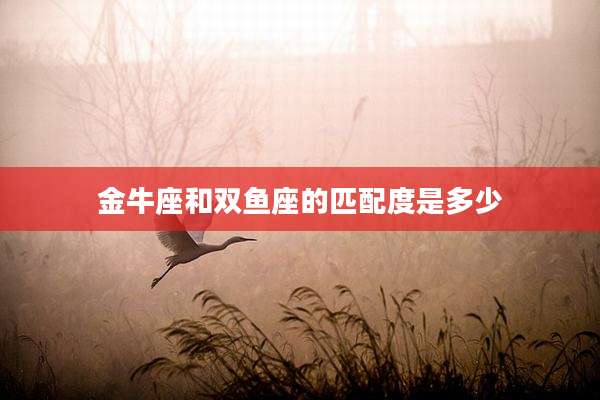 金牛座和双鱼座的匹配度是多少