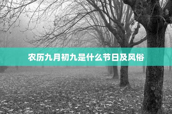 农历九月初九是什么节日及风俗
