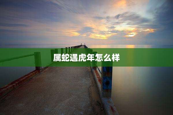 属蛇遇虎年怎么样