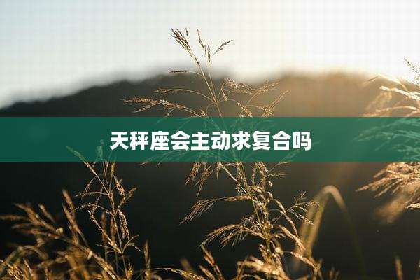 天秤座会主动求复合吗