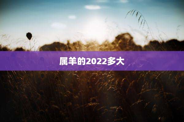 属羊的2022多大