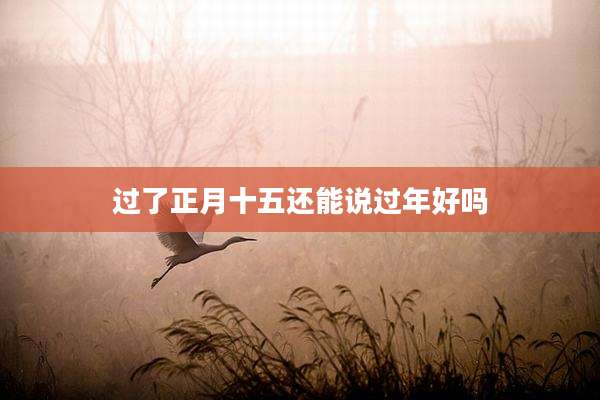过了正月十五还能说过年好吗