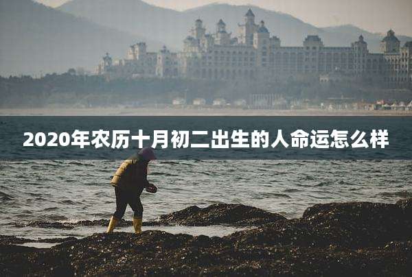 2020年农历十月初二出生的人命运怎么样