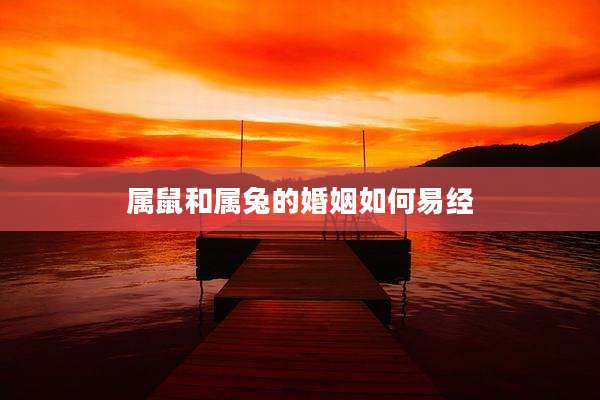 属鼠和属兔的婚姻如何易经