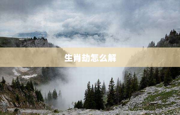 生肖劫怎么解