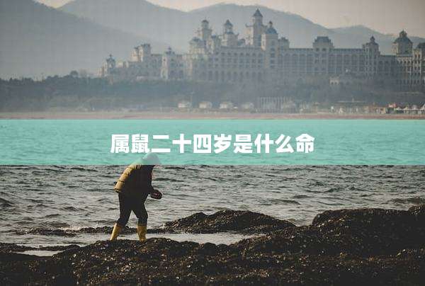 属鼠二十四岁是什么命