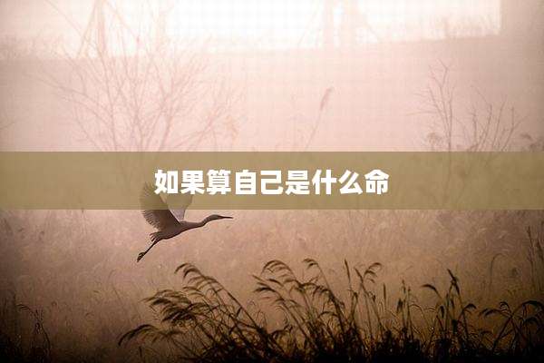 如果算自己是什么命