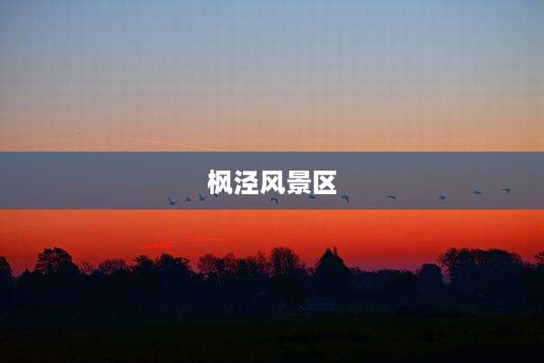 枫泾风景区