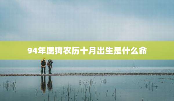 94年属狗农历十月出生是什么命