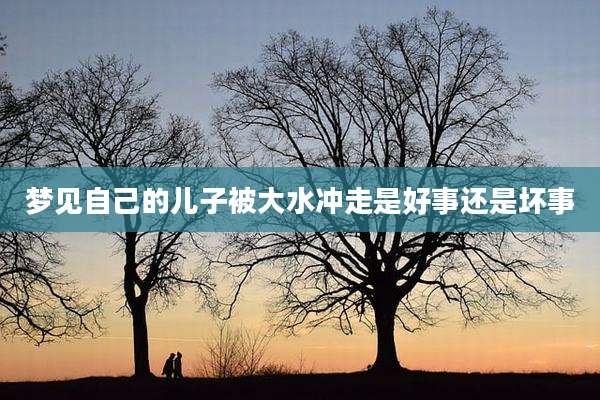 梦见自己的儿子被大水冲走是好事还是坏事