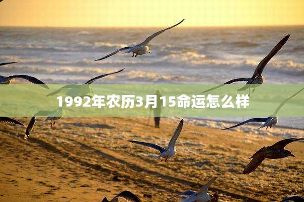 1992年农历3月15命运怎么样