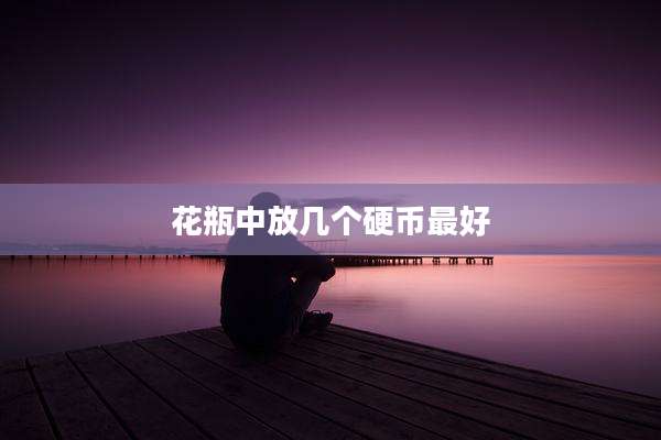 花瓶中放几个硬币最好