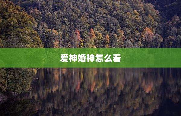 爱神婚神怎么看
