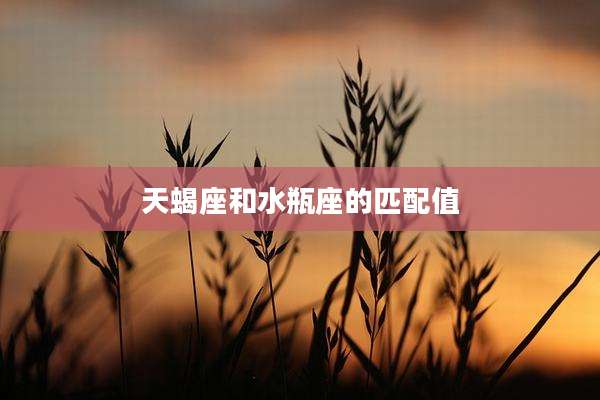 天蝎座和水瓶座的匹配值