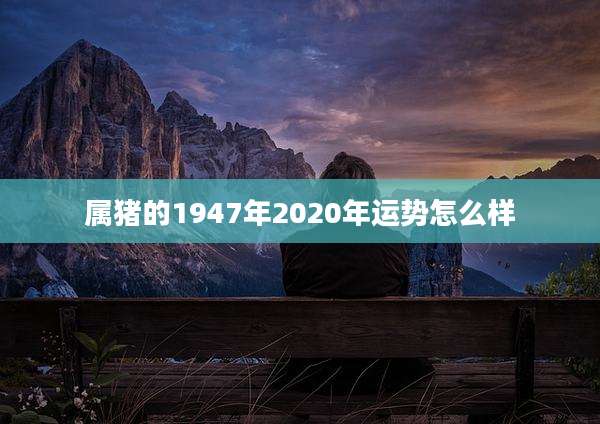 属猪的1947年2020年运势怎么样