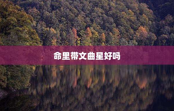 命里带文曲星好吗
