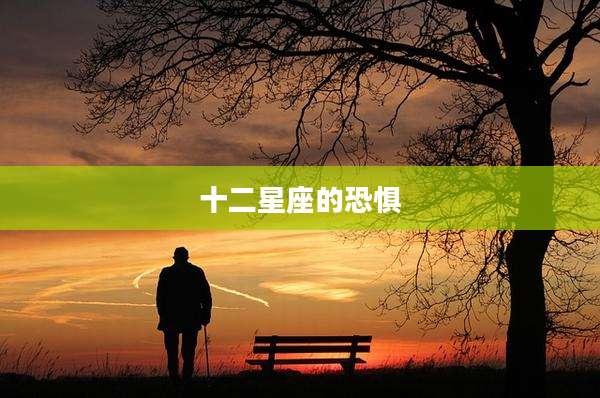 十二星座的恐惧