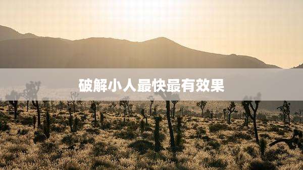 破解小人最快最有效果