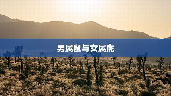 男属鼠与女属虎