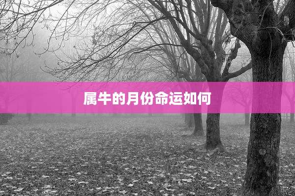 属牛的月份命运如何
