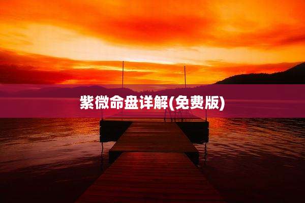 紫微命盘详解(免费版)
