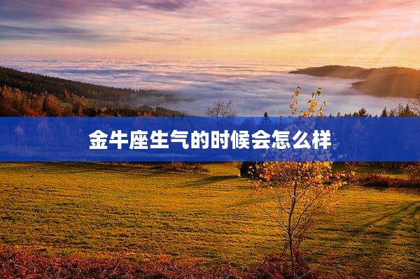 金牛座生气的时候会怎么样