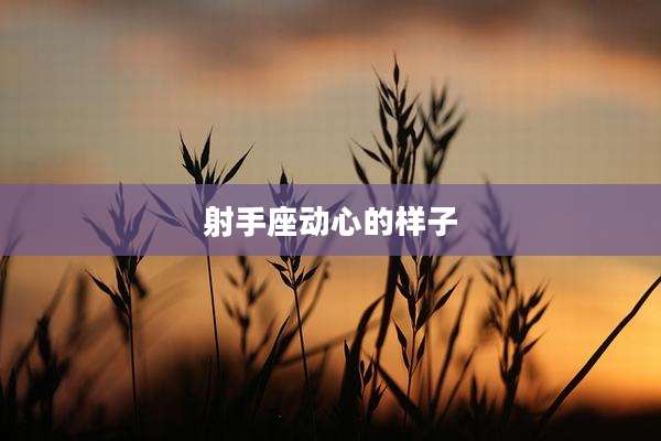 射手座动心的样子