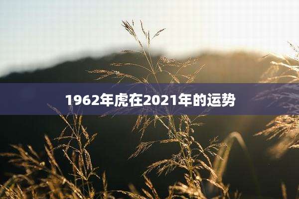 1962年虎在2021年的运势