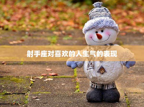 射手座对喜欢的人生气的表现