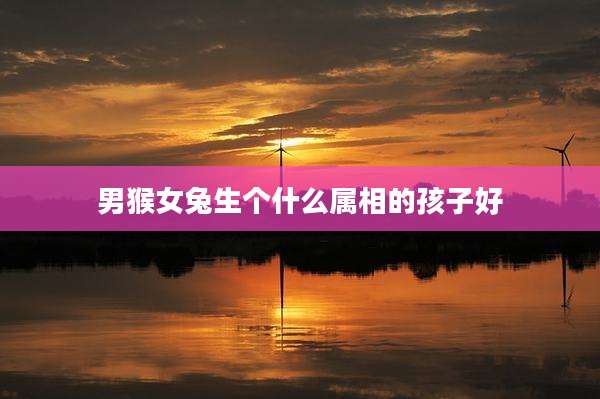 男猴女兔生个什么属相的孩子好